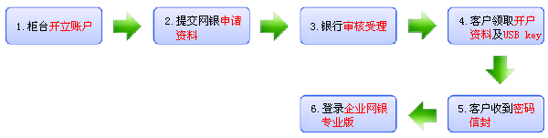 企業(yè)網(wǎng)銀專(zhuān)業(yè)版開(kāi)戶(hù)流程